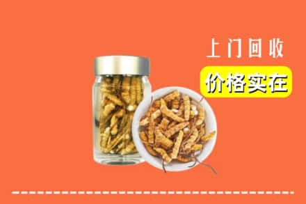 六安舒城县回收散虫草
