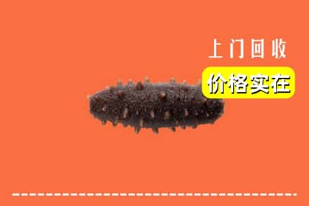 六安舒城县回收海参